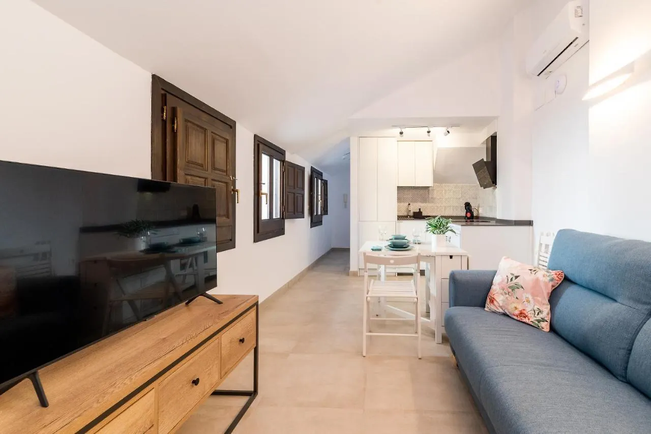 Apartment Suites Horno Del Oro Granada Spain